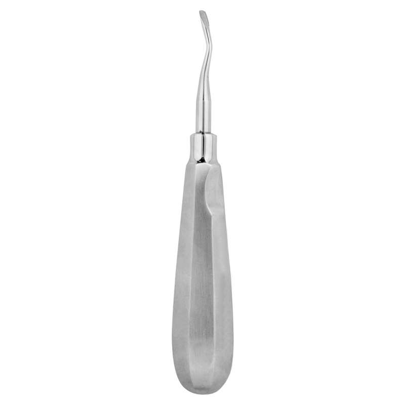 CYNAMED Root Elevator 77R Dental Instrument - Serrated Tip German Stainless Steel