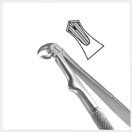 Extracting Forceps Pediatric